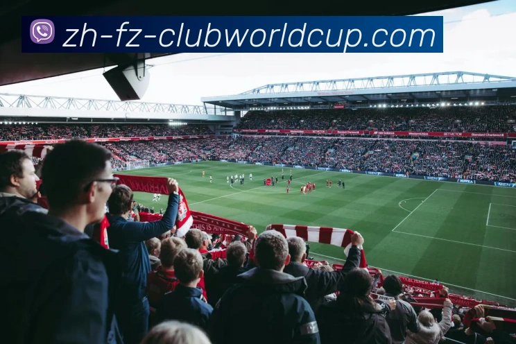 世界杯官网品牌故事