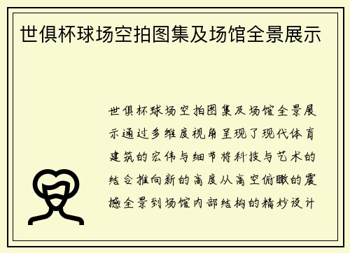 世俱杯球场空拍图集及场馆全景展示